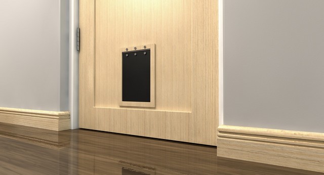 Cat Flap Installation Orsett, Chafford Hundred, RM16