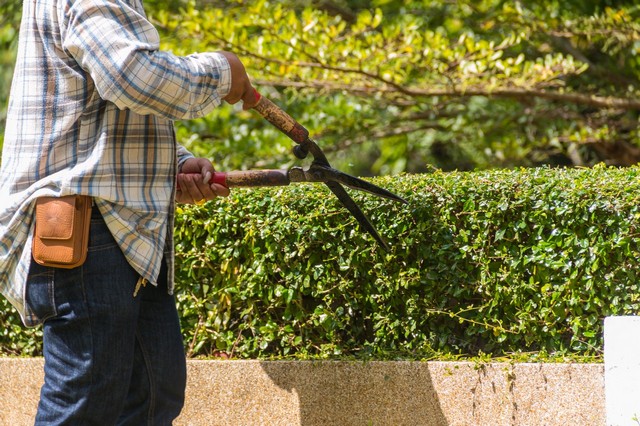 Garden Maintenance Orsett, Chafford Hundred, RM16
